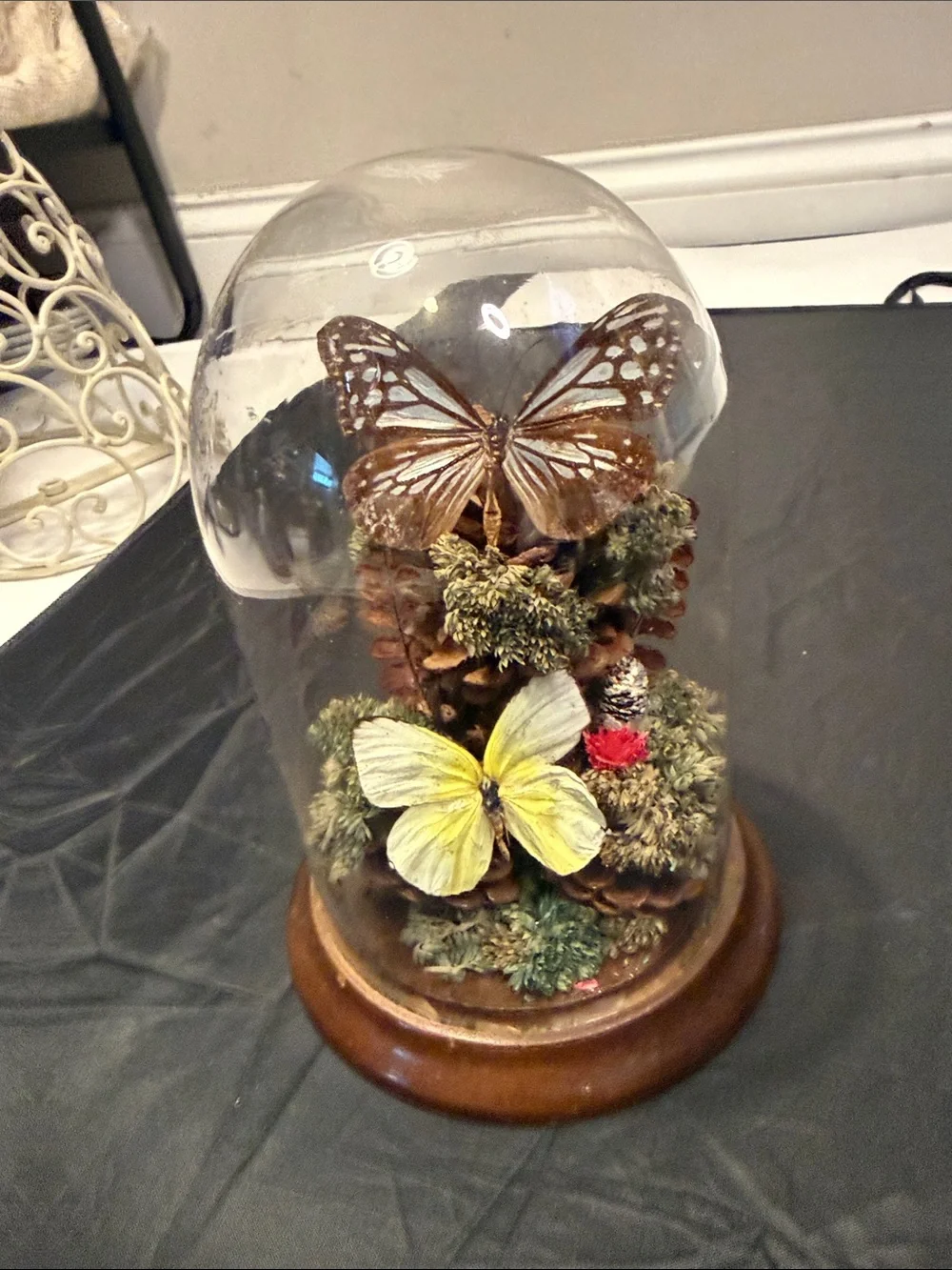 Decorative Butterfly and Flower Wall Accents – Multicolor